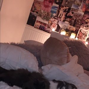 Meet your Posher, Kendall